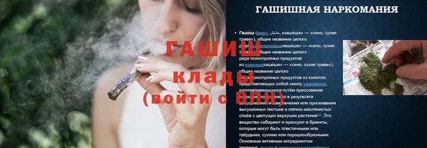 дмт Ладушкин