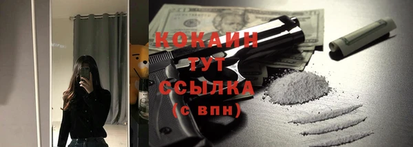 тгк Лагань