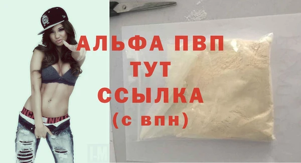 дмт Ладушкин