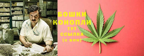 дмт Ладушкин