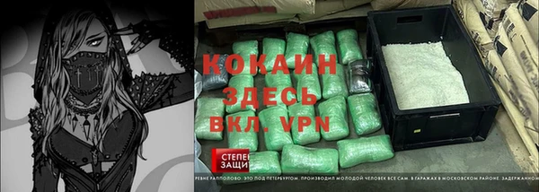 дмт Ладушкин