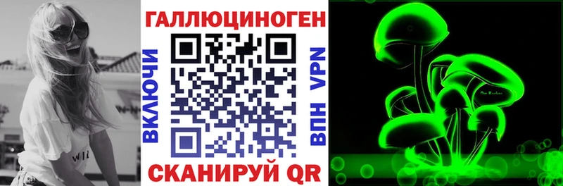 Купить  Зверево  Галлюциногенные грибы Cubensis 